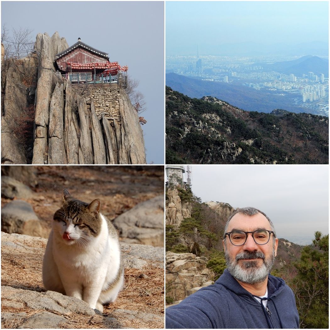 Yeonjudae Hermitage, Me, the view and the cat.