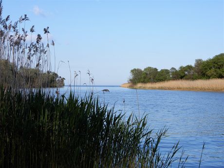 The estuary of the river Pineios.