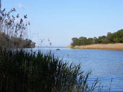 The estuary of the river Pineios.