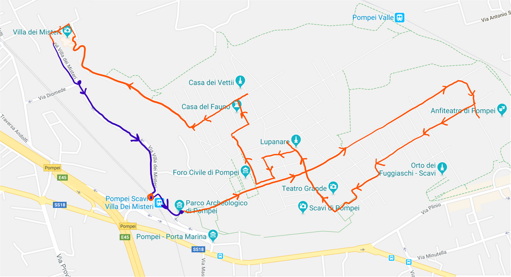 The itinerary I followed in the archeological site (red line).  It is an arbitrary walk of about 3 hours.  I exited from Villa dei Misteri exit and walked back (purple line) to the train station on a road outside the site limits.