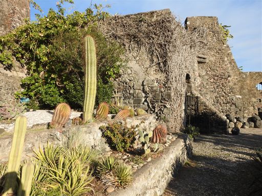 The cacti garden on the castle.