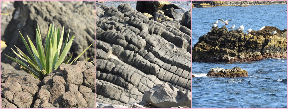 Volcanic seaside rock formations!