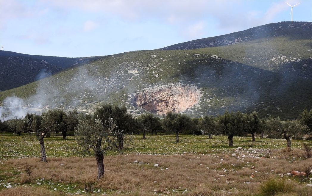 The big cave at the edge of a beautiful olive orchard.