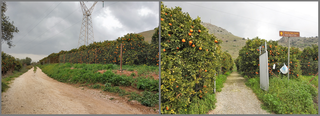 The dirty narrow road (left) which leads to the entryway of the tomb (right).  The entry way actually cuts through an orange orchard.