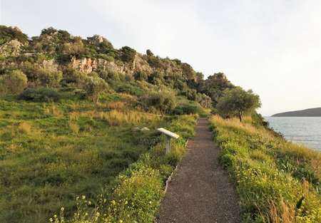 A path on the western part of the acropolis.