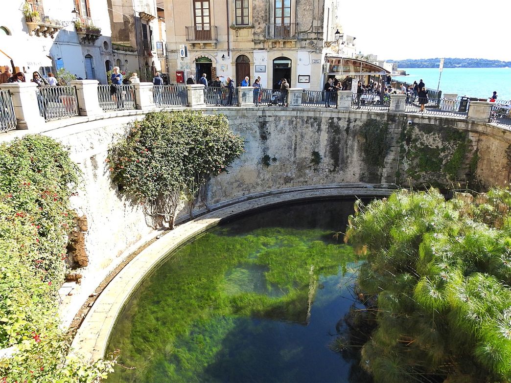 The pool formed from the waters of Fonte Aretusa (Arethusa Fountain).