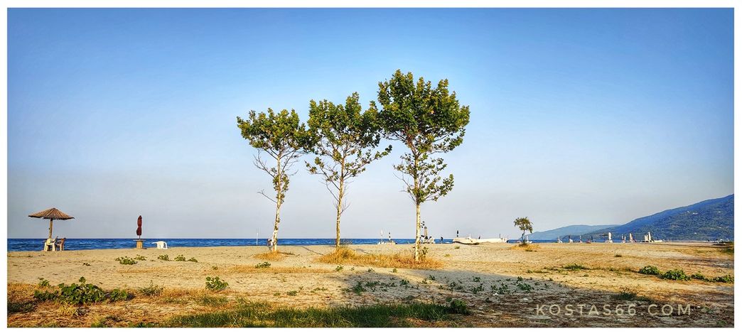 Alexandrini beach.
