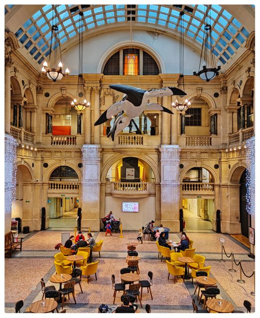 The cafe of Bristol Museum.