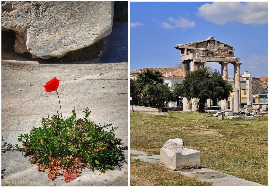 A flower blooming among the marbles of the East Gate (left). The Gate of Athena Archegetis (right).